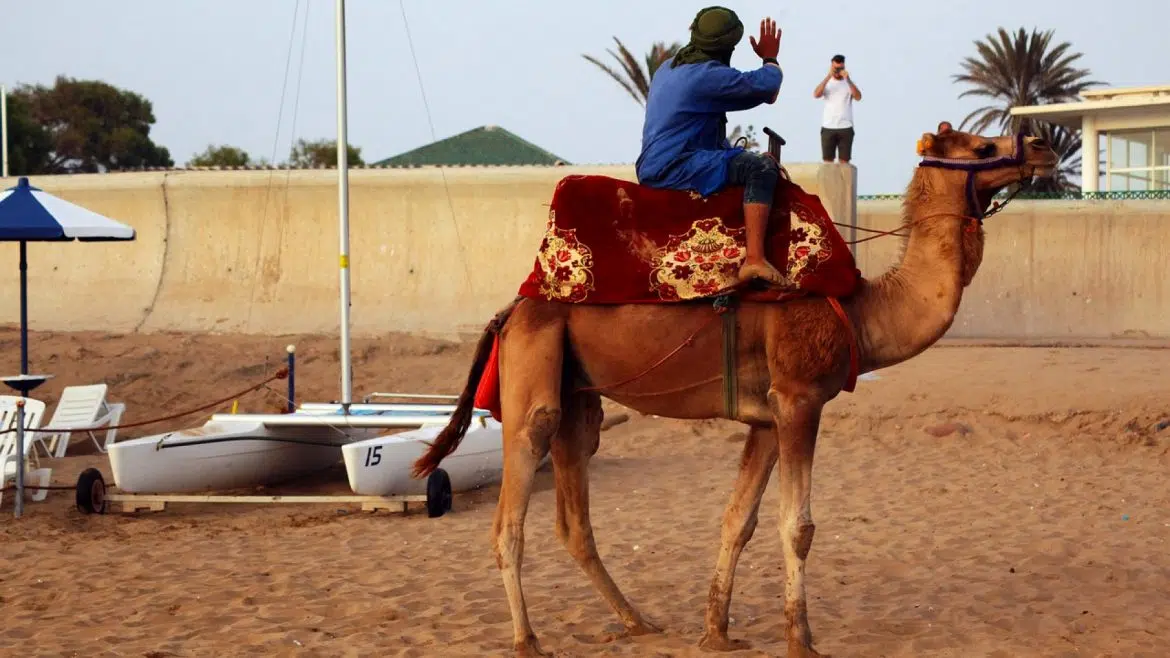 Voyage à Agadir : que faire ?